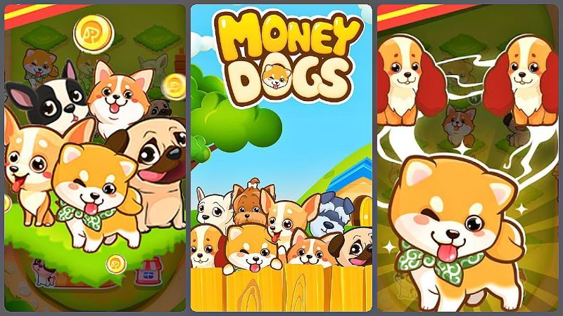 Khám phá trò chơi Money Dog để kiếm thêm tiền